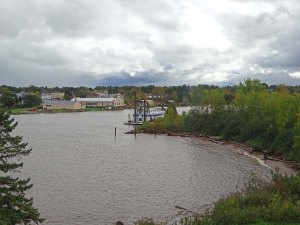 light-harbor-view-4002