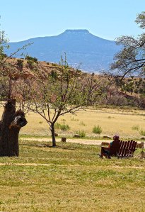 GR Patti Meditation 6263 copy