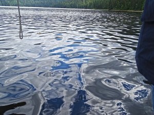 Water Reflection Float 5780