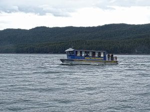 AK Travel Adventures 5902